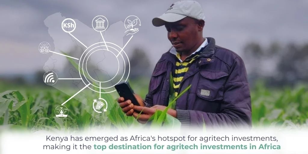 Kenya has emerged as Africas hotspot for agritech investments, making it the top destination for agritech investments in Afric
